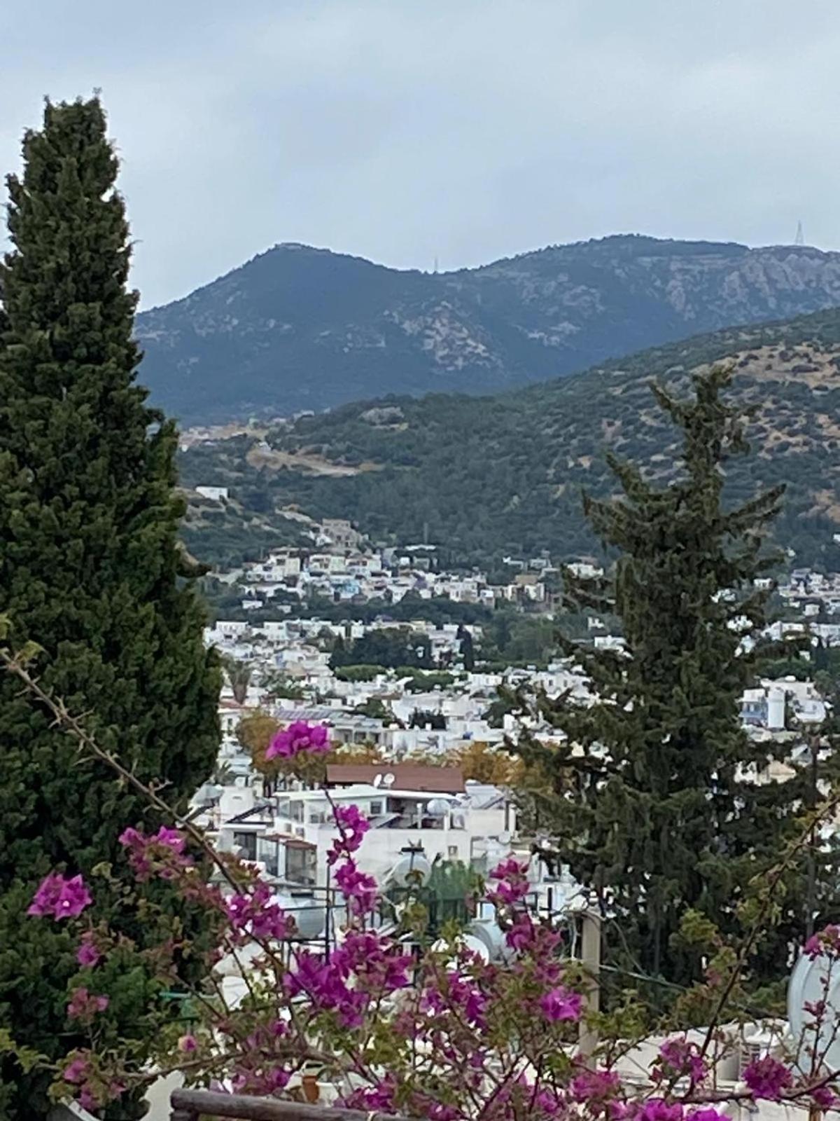 Izan Villa Bakis Apartments Bodrum Buitenkant foto